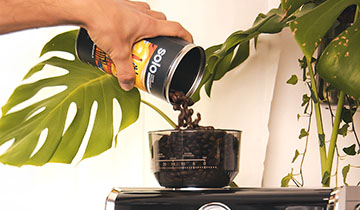 Perché il caffè in grani?