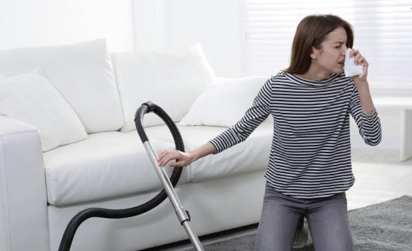 Il vapore per eliminare acari della polvere e cimici dei letti