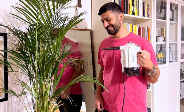 Come prendersi cura delle piante d'appartamento