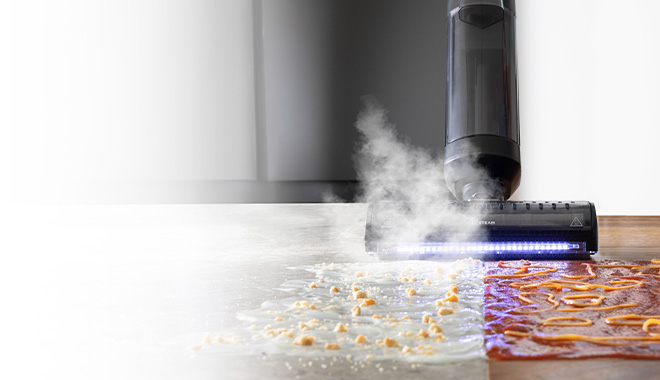 L'immagine mostra Polti Rollysteam