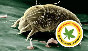 Vaporetto Lecoaspira FAV70 Intelligence - funzione allergicida