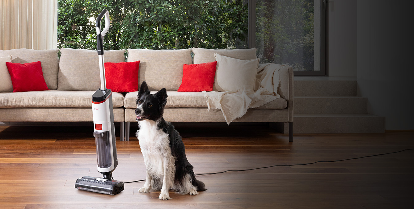 Pulizia a umido e a secco con un cane