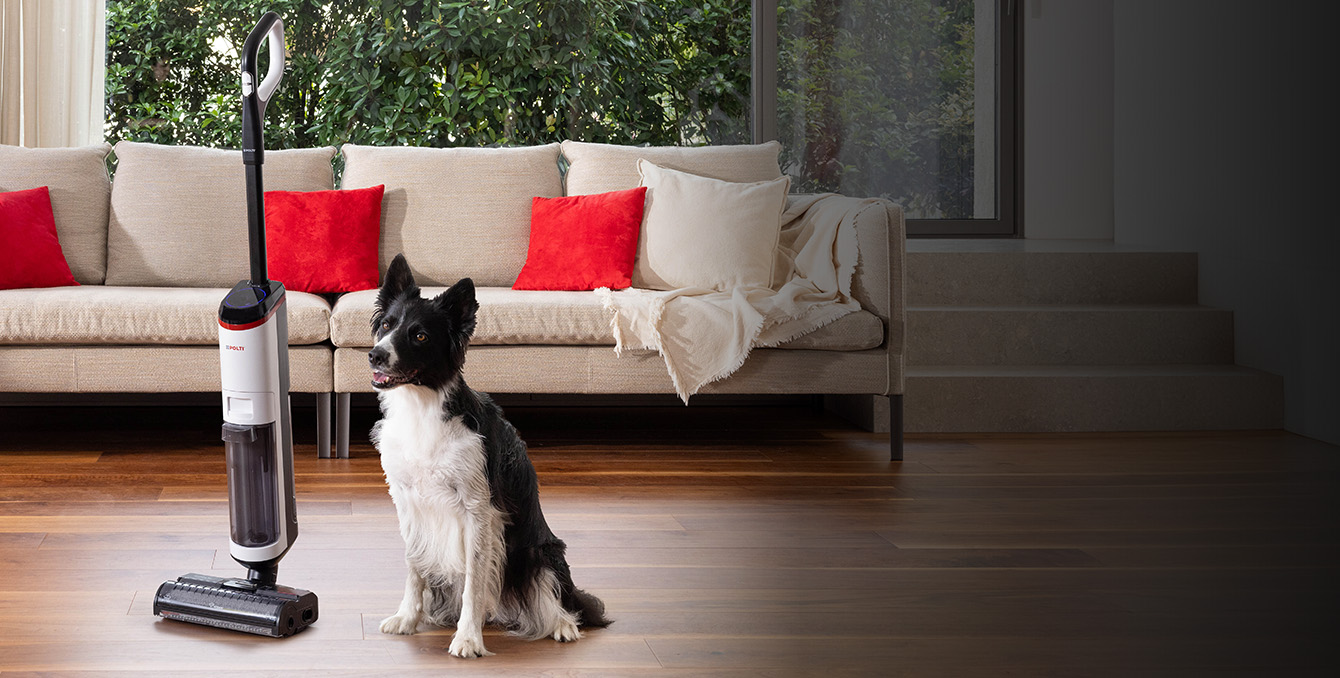 Pulizia a umido e a secco con un cane