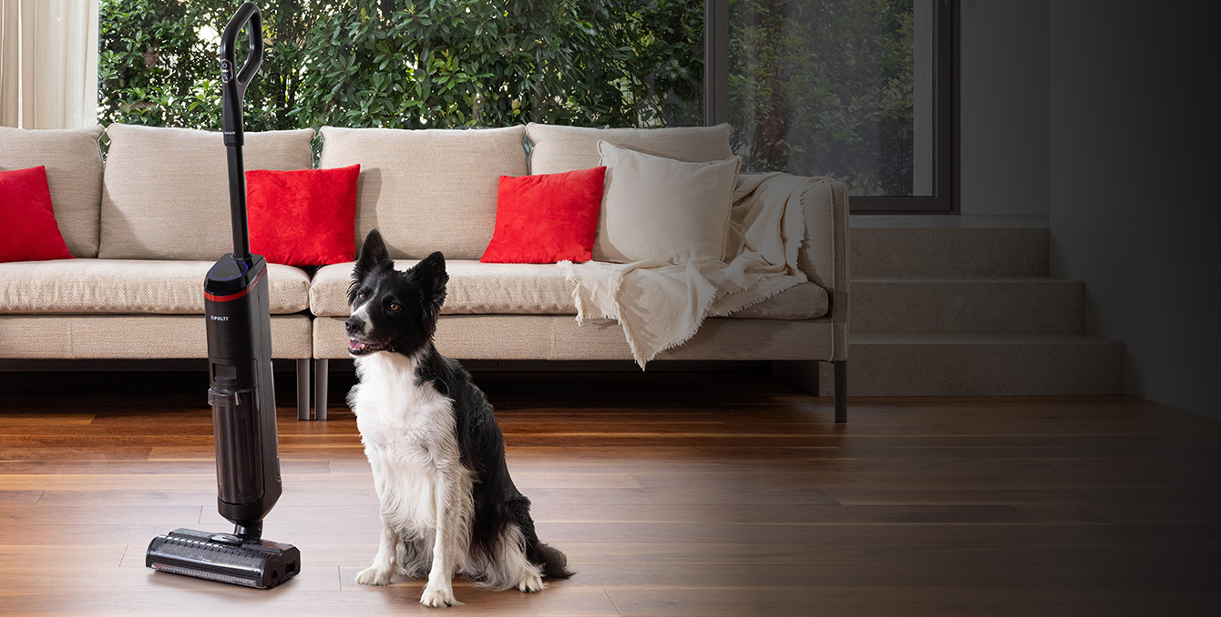 Mocio per pulizia a secco e umido con un cane