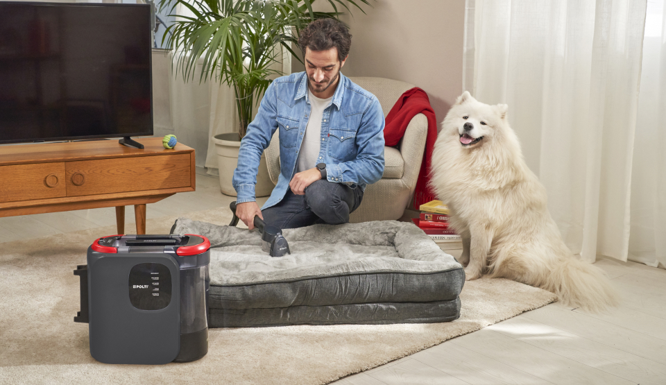 Lavapavimenti con un cane