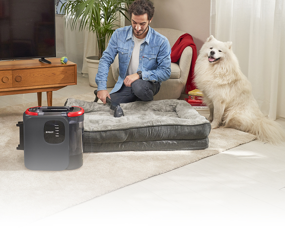 L'immagine mostra Polti Stainover